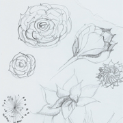 image of Design drawing - floral mirror  by Sarah Howarth 